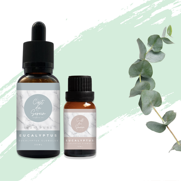 Eucalyptus Globulus 100% Pure Essential Oil